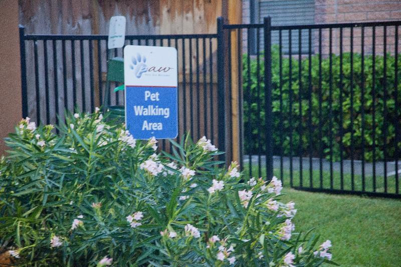 Extended Stay America Suites - Houston - Katy - I-10 Экстерьер фото